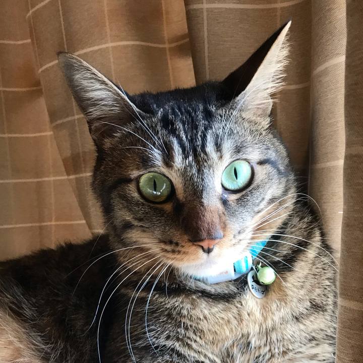 4ab3edf7 e207 4659 8c97 5fcf00bf20e7 1538994452215