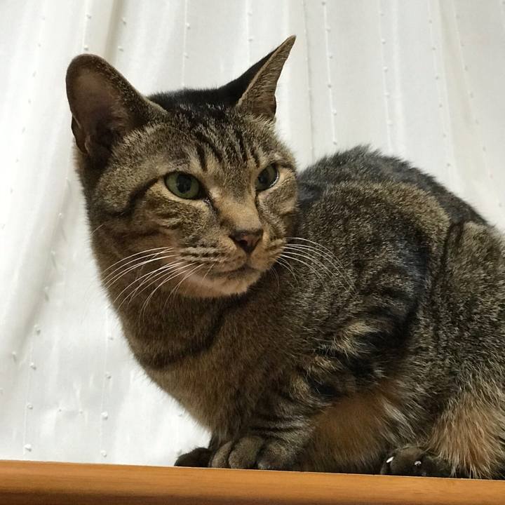 4ab41cd1 1931 476d 853d 3d2d78863891 1515373941852