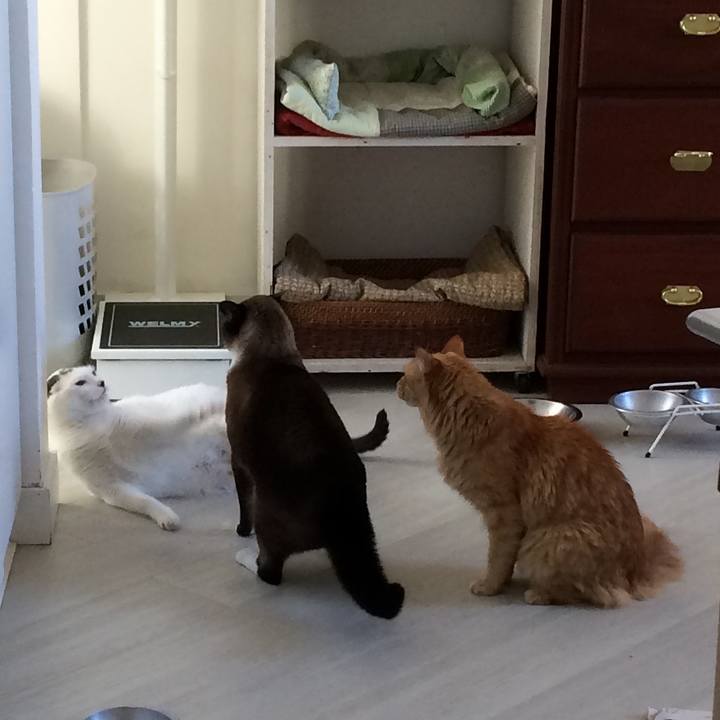 4ab41f6e 556a 49f4 a4c8 8ea5441b15fe 1551299741303