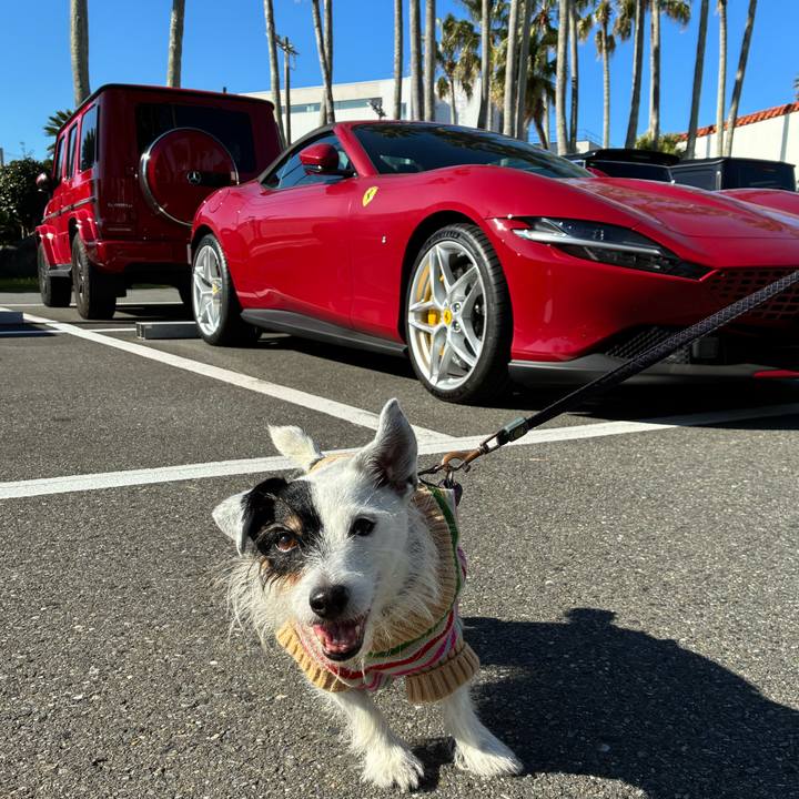 4ab44de6 70a3 49b4 9a9d 3772d440ef6a 1763779664488