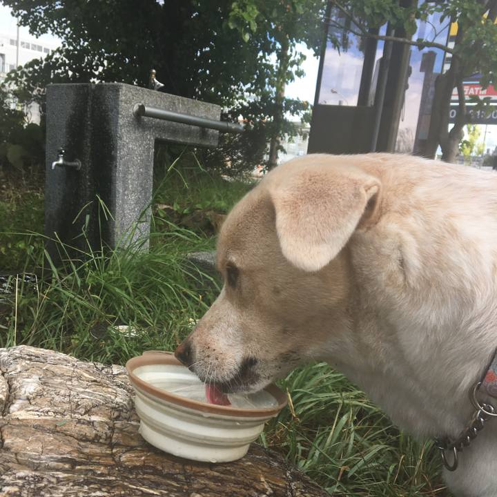 4ab44f36 01d8 4584 8355 6ca01ade89dd 1532816435400