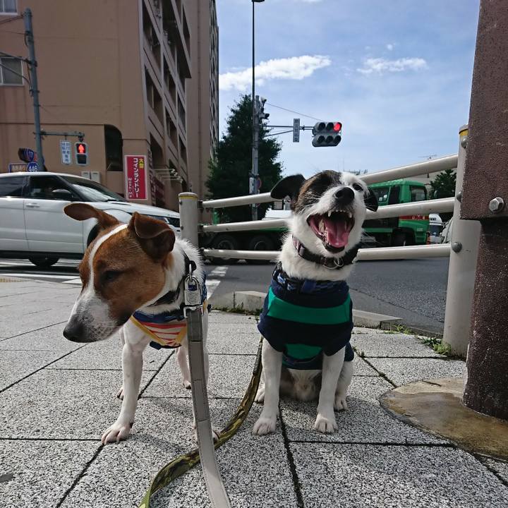 4ab45980 64d3 4a76 a9f4 a9bd9393d9c9 1528501573737