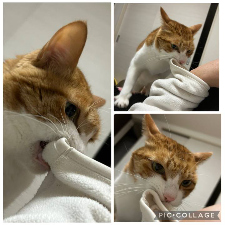 4ab4693f b3b6 4d0d 805a 6acae7351d76 1766837823829