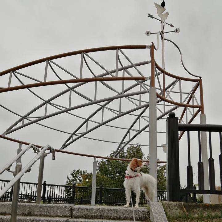 4ab472c0 4e7b 400d b452 be1557758fc7 1602322175736