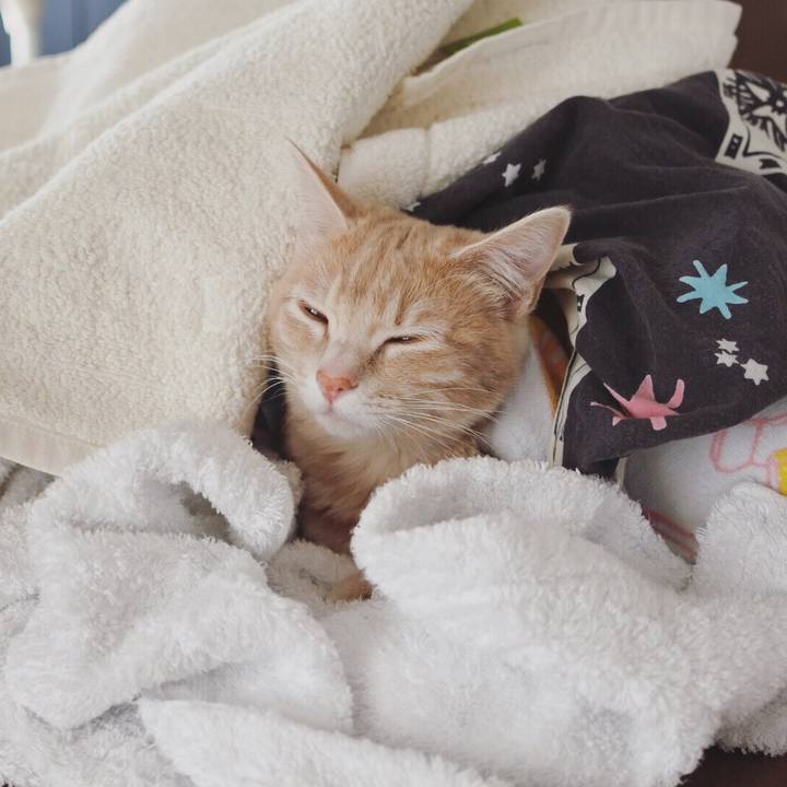 4ab4bfbf 592f 4ce8 afe7 15679c096215 1552303563427