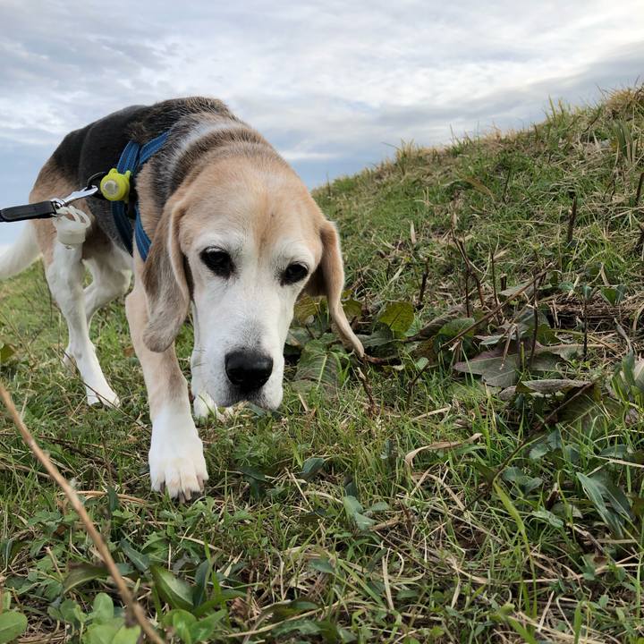 4ab4d478 e6b2 41a9 a560 b1a2327be2c8 1575291941611