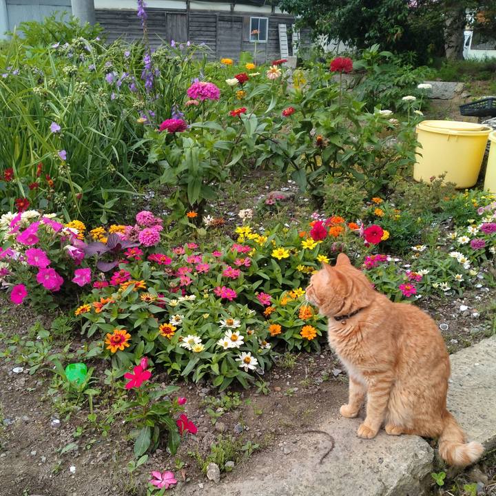 4ab4d4f7 2a5e 4404 bba4 a0ec002ef82a 1688687899578