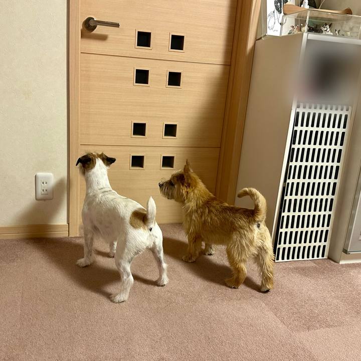 4ab51815 c9e9 4c12 9816 2d3902bdcd30 1715853688203