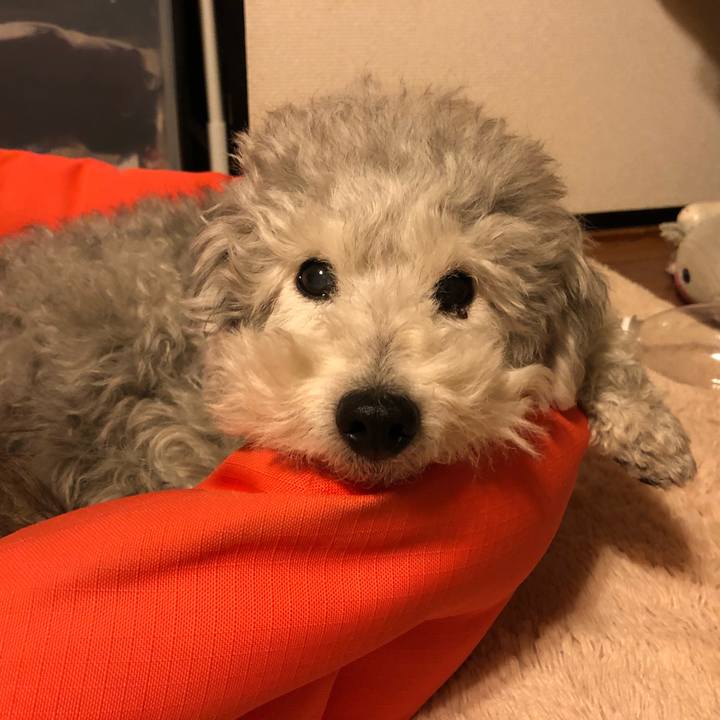 4ab52edc b563 4b71 bd73 ad3df0595dab 1557788000096