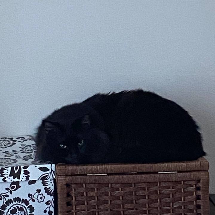 4ab57faa 19ea 4a13 83fd ac9c2bb286bf 1581127390884