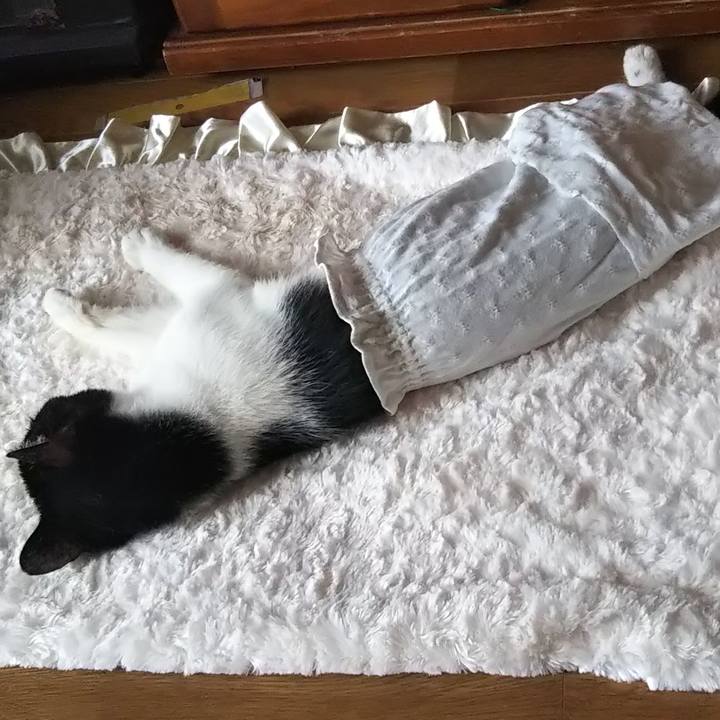 4ab5b255 a8df 4d7c be81 2ab28c45cc49 1600856512229