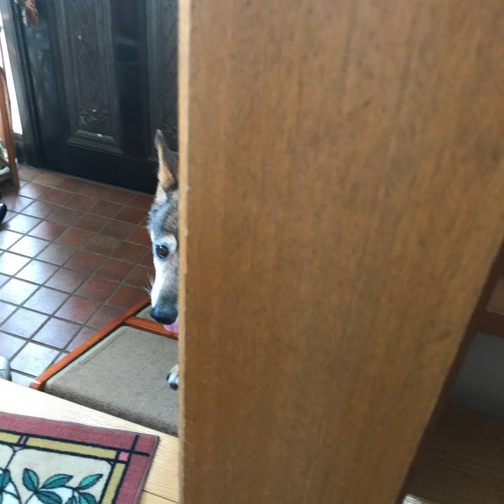 4ab5bbd8 5312 4702 a0c9 21fd1e0eb5f0 1532992531532