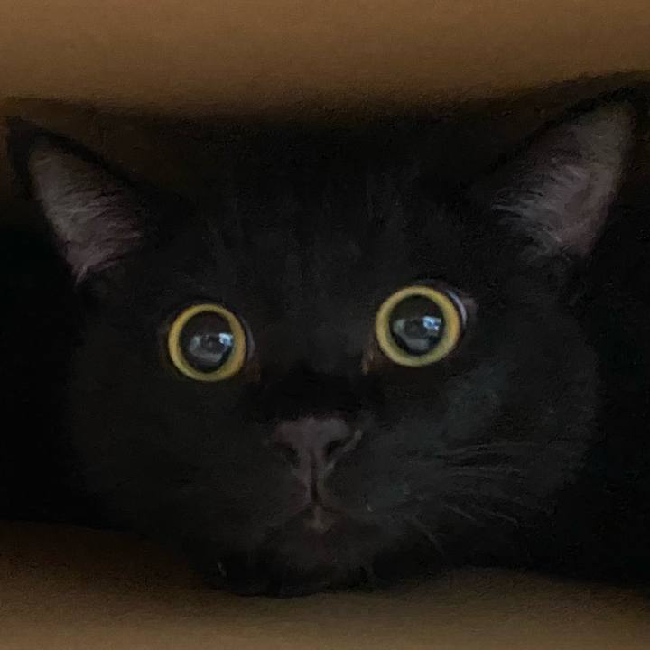 4ab5cf55 398b 4dd4 baa6 b3bb47edee3c 1629984969379