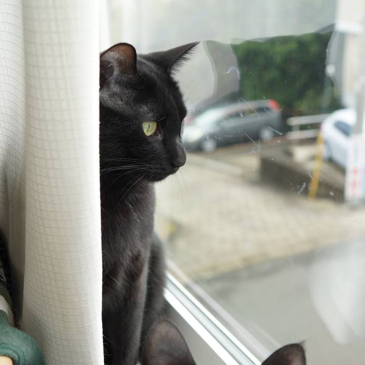 4ab5f67b ef91 4017 a7da d50419f5e4c8 1587567842849