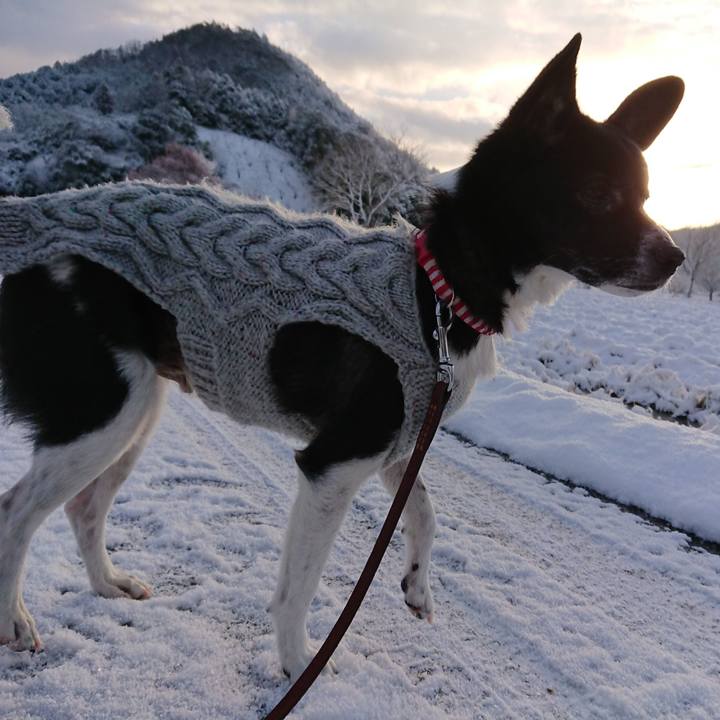 4ab60a06 0bae 4b96 9962 0ba02a7f71c9 1612872681112