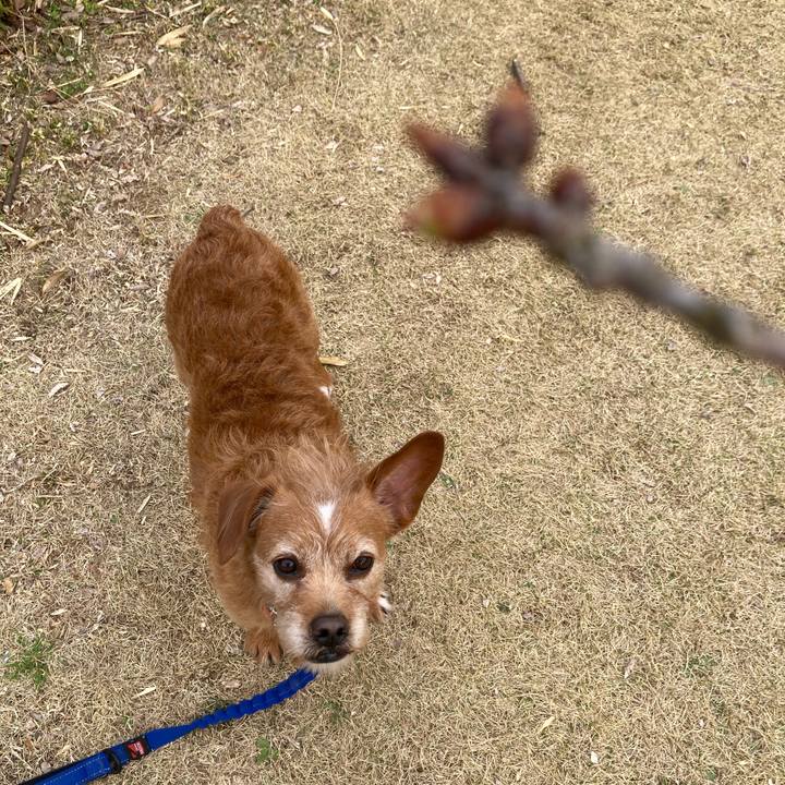 4ab62ba2 259e 4380 8b16 0ec23b0fb122 1647166953988