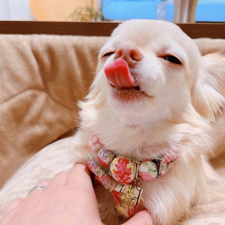 4ab6494d 07ca 4fcc b036 04679ec4b394 1673526653021