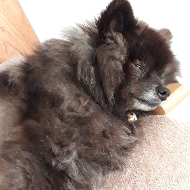 4ab6988a b0e7 4d9a a020 3fdc6b31e4a6 1520836581976