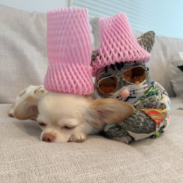 4ab6bc51 0045 46b4 beb6 0aa80f803d21 1691311004922