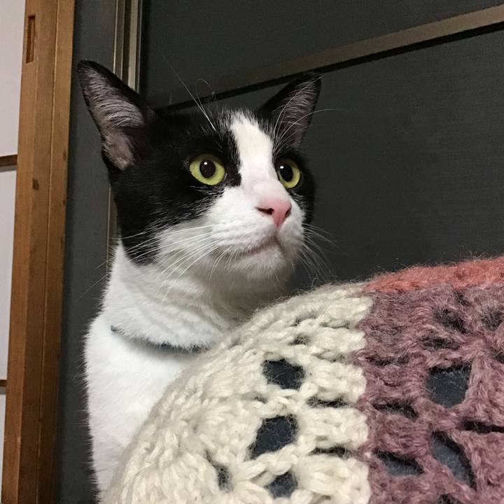 4ab70af2 c020 41ef 86a8 dbbf077547b5 1659614860625