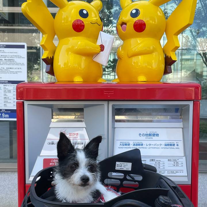 4ab70eaa 966d 43e8 ba78 d2017b6e4097 1632040601022