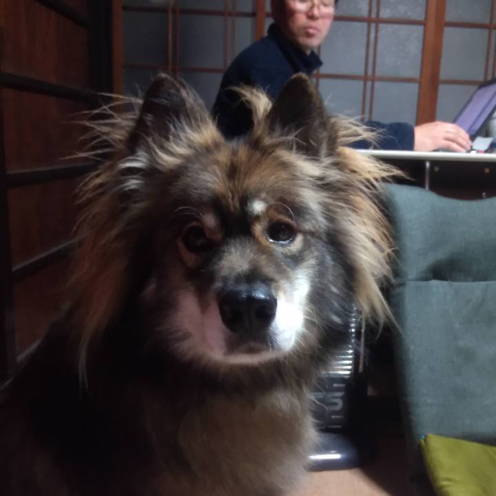 4ab727e0 fb30 4434 bcb6 76c3231a7780 1637282961523