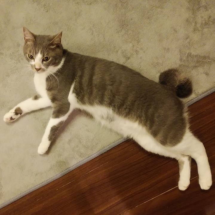 4ab75a8e 1ac7 4173 a5eb 38bd6bf15241 1594133396067