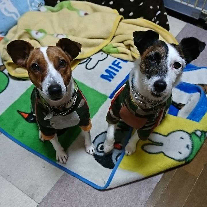 4ab760fc feb6 42c6 b08f 854fb9b3c2eb 1583102313111