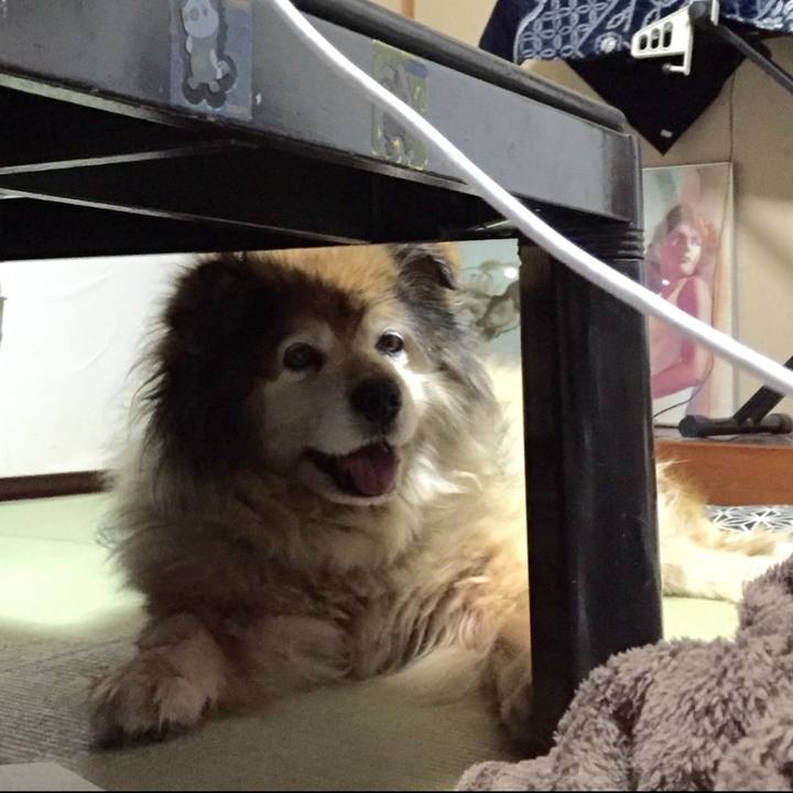 4ab79ef8 bb8b 4d3a 8a3a 8f1e172d2b9b 1592586698799