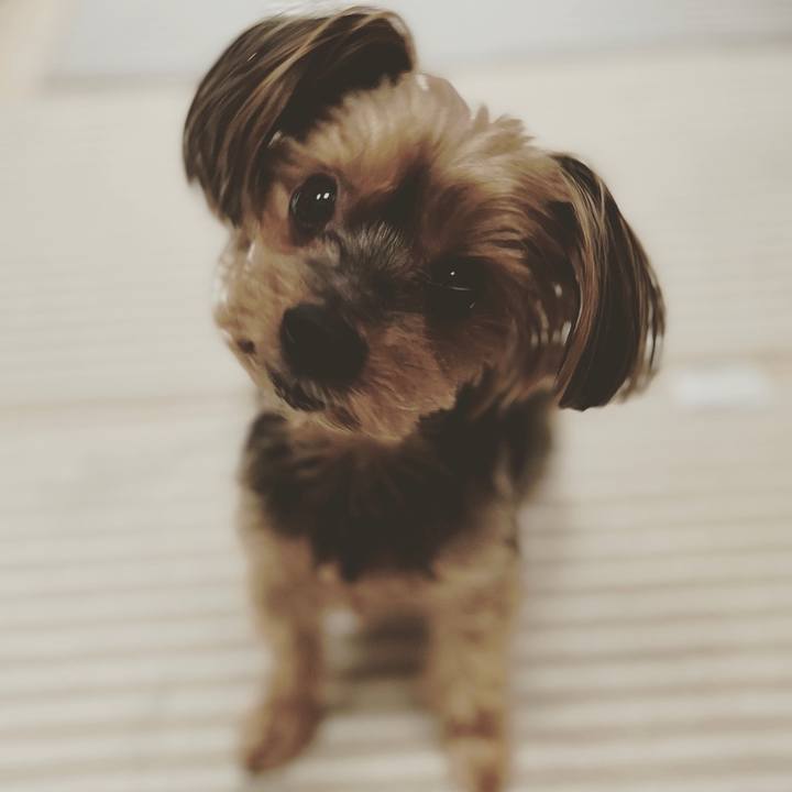 4ab7c89a 7d4e 4251 8538 dd4e92867661 1652599264417