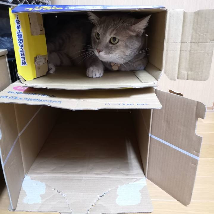 4ab82559 3df0 4bf0 8409 972f89c97adf 1566744056347