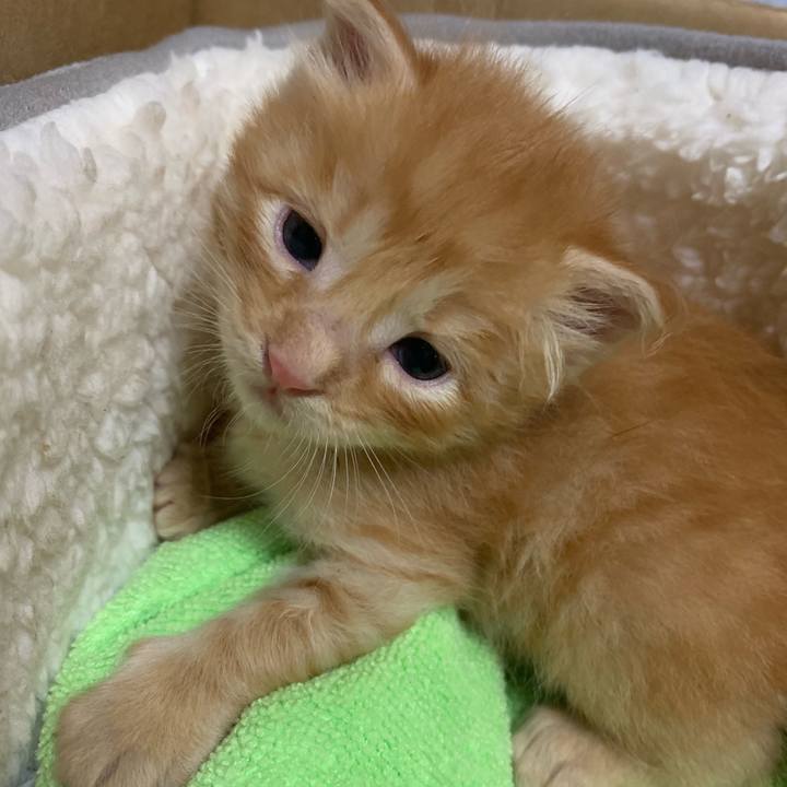 4ab8a045 2e18 4c91 b9c7 b7568b55d587 1569854569322