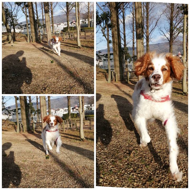 4ab8b821 74be 464a 8232 eafeee3ad694 1611735294349