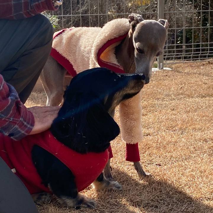 4ab8bcbb a2eb 4089 ba1c 9b19cfbc8607 1769054249237