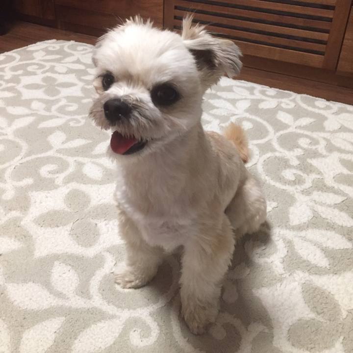 4ab8c07e 42d5 487b a352 4ed854a697b2 1558347973524