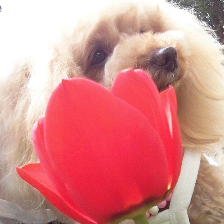 4ab9405e e28d 4c98 b36d 6ba04fbafe4e 1557550401066