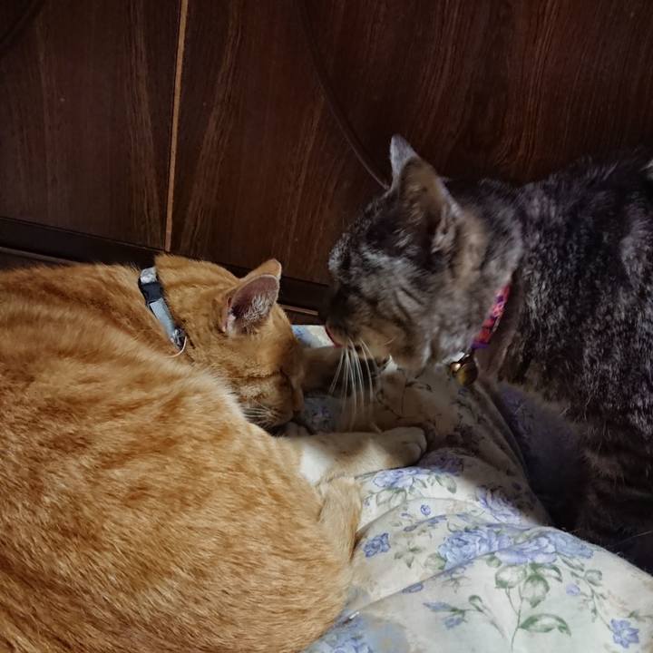 4ab95c91 d547 4e73 b5e7 bab711d2babc 1588248558843