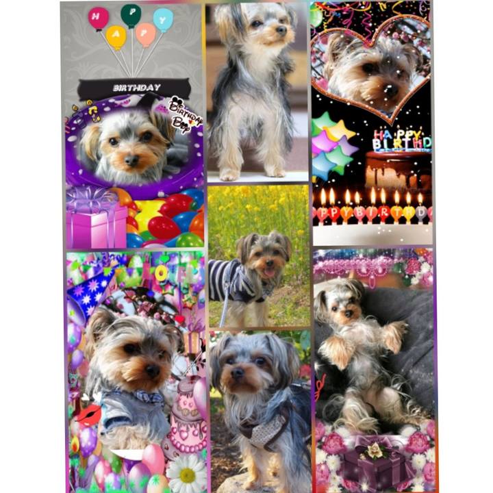 4ab97b6d 0adf 4069 a865 d65b8fe7ca9a 1529036044517