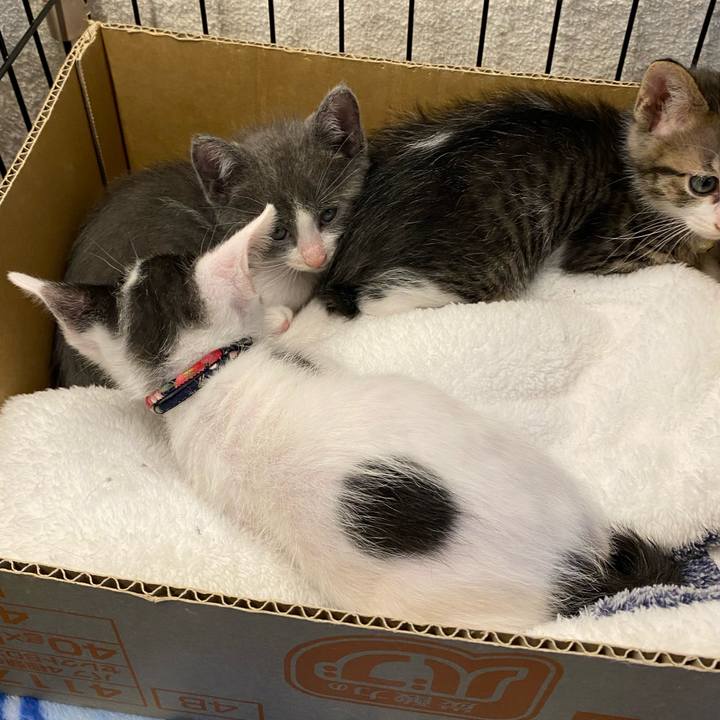 4ab97d27 442e 43ff a974 9ce8105c446b 1749289633183