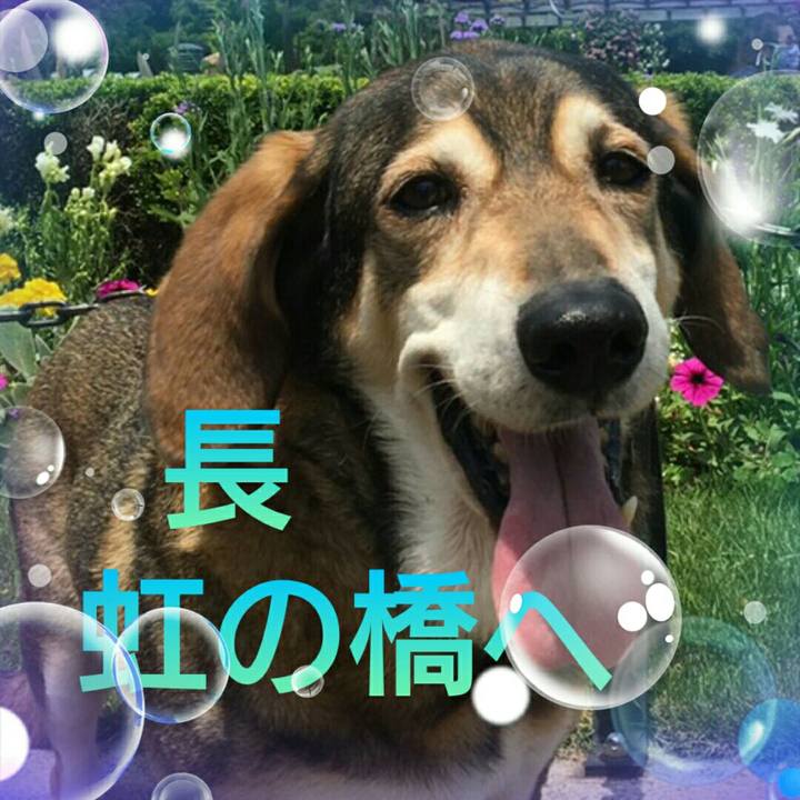 4ab980bb a61c 4da7 b7a7 58037c570ae0 1625106966206