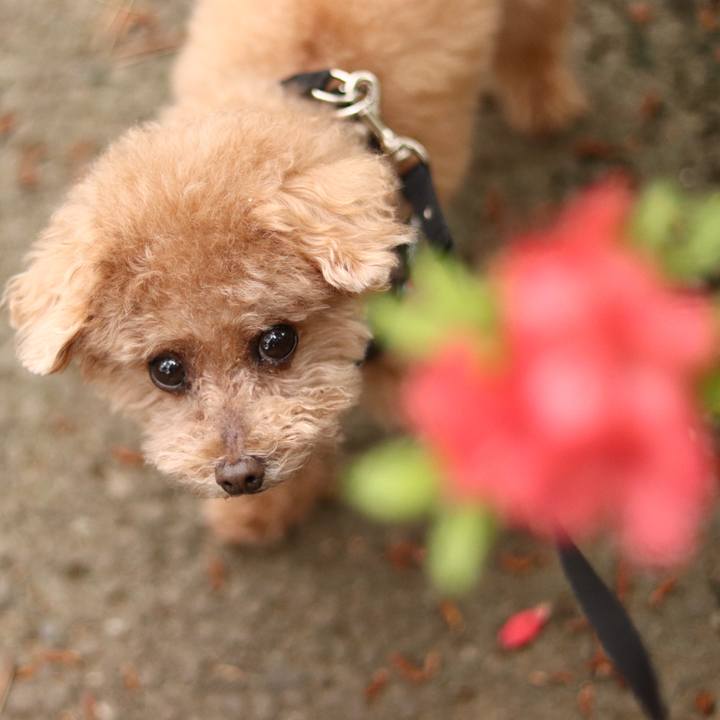 4ab981df cff4 4b25 9684 6a6cc4cd9a2b 1665151254498