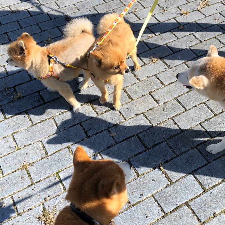 4ab9894e 3d3b 48f4 97a2 6759e699f964 1572826391423