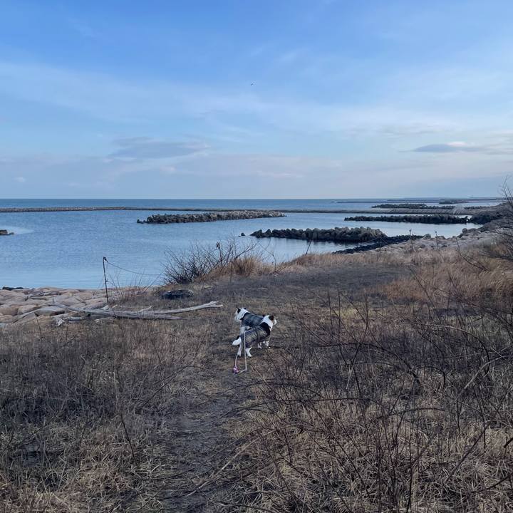 4ab9c966 ebfa 4428 8eb0 bb0a05acaecf 1739678846522