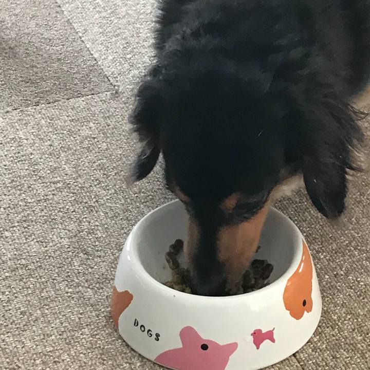 4ab9e9a6 42a4 4cf2 9b5e 712d312a5e46 1523917084853