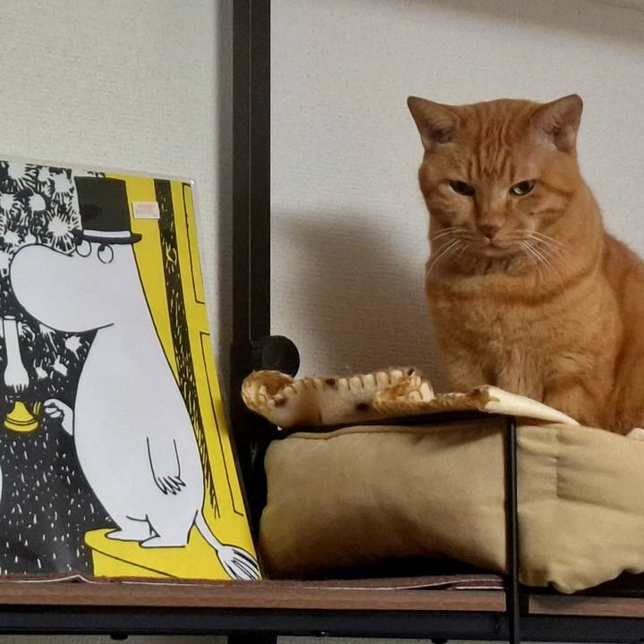 4ab9f5da 83a7 4d06 946e 007f55e3bc93 1732710320455