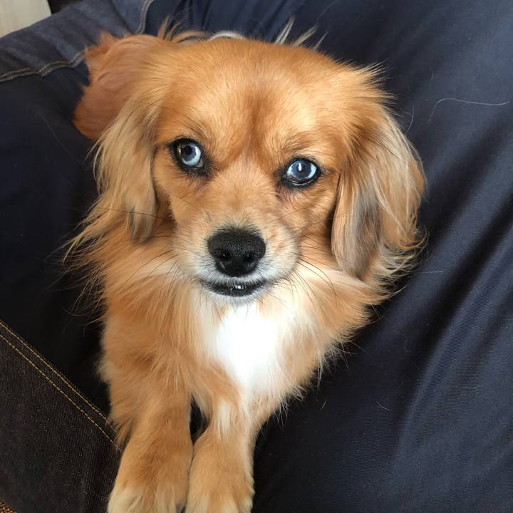 4aba1b10 bfc0 4669 a9f4 b01e9cd0c5a2 1542928992341