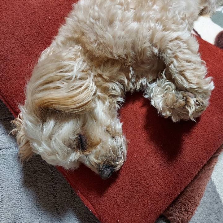 4aba241e 4dfb 42ce 852c 1b7ae9ce2b2f 1645670262725