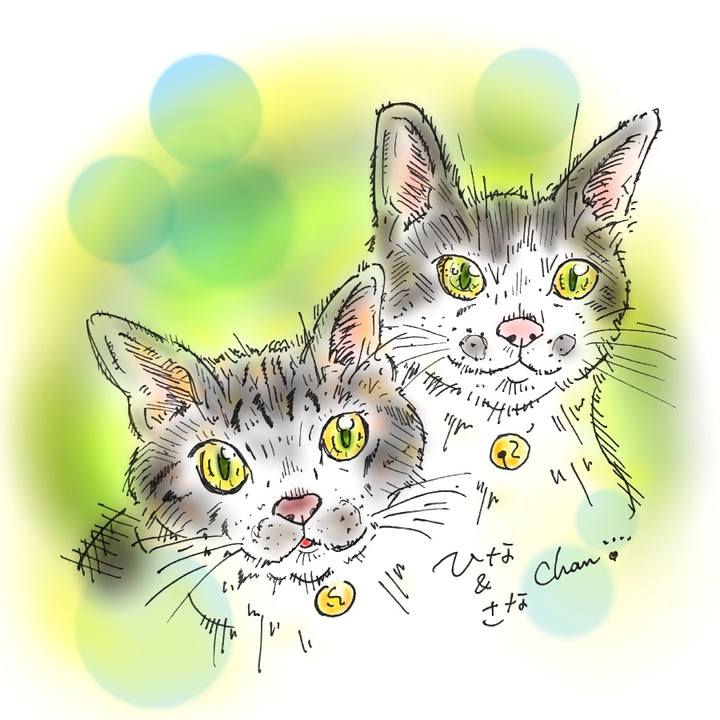 4aba4d55 6a1d 4fa9 a4cb d2c3716c86e0 1583775561734