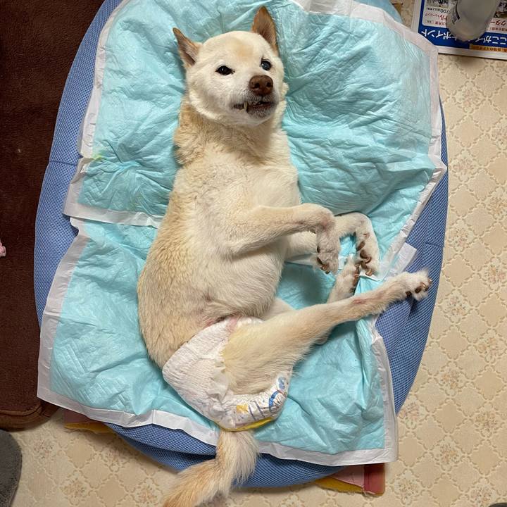 4aba6e89 2ebb 401d aa86 b693f367a425 1678686075371