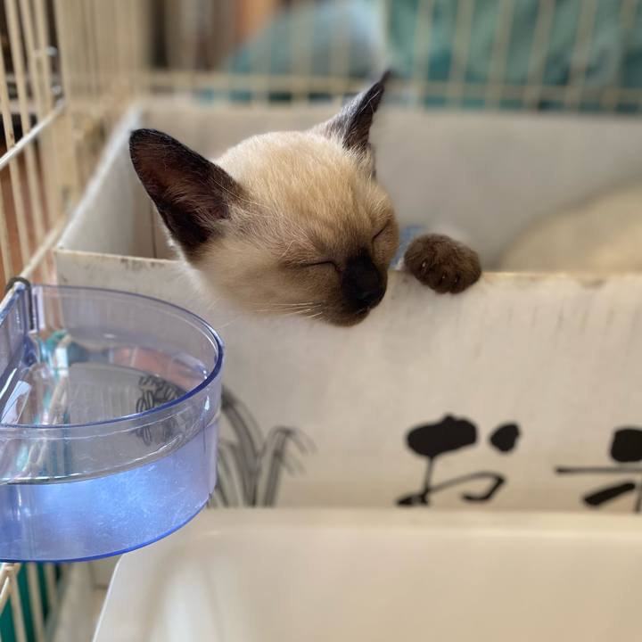 4abad94e b224 42a1 80a1 380cab70fac8 1686466205872